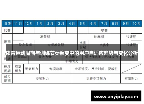体育运动周期与训练节奏演变中的用户自适应趋势与变化分析